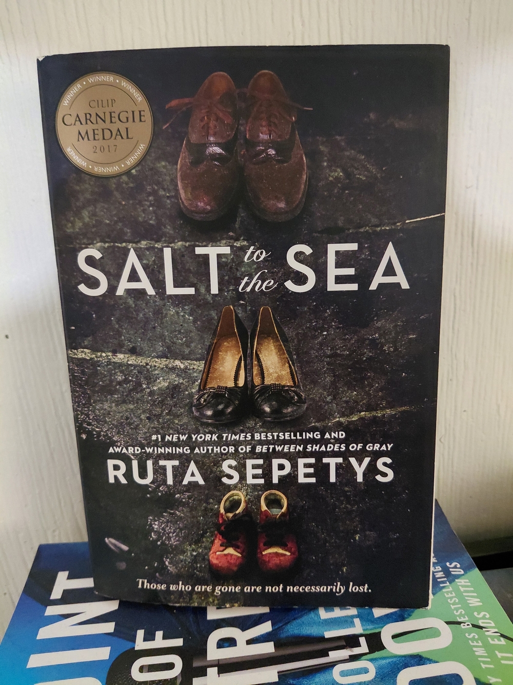 Salt to the Sea by Ruta Sepetys - Black Cover